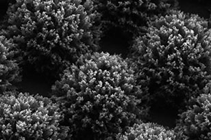 承德承德蔡司显微镜